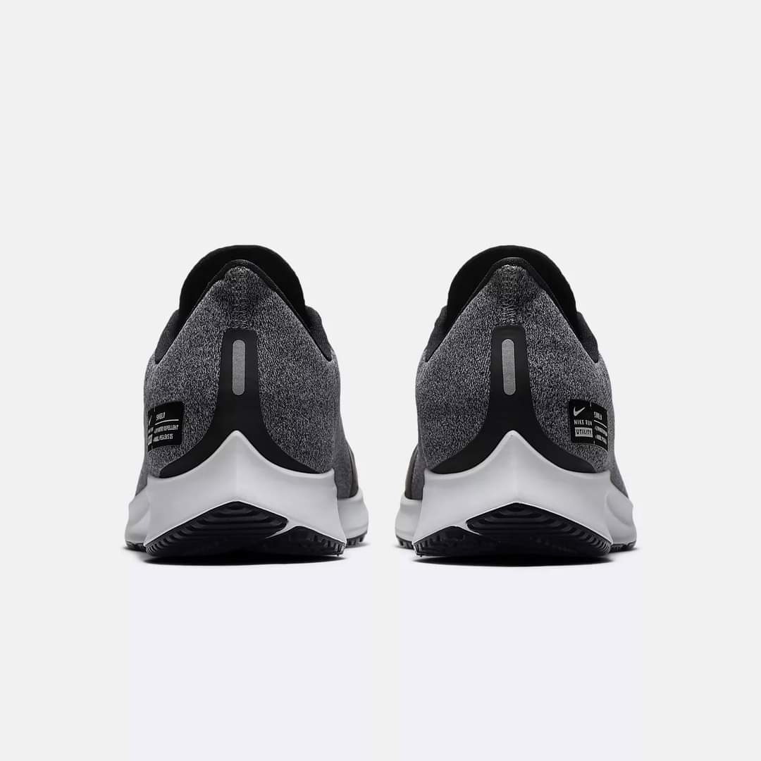 02 pegasus 35 shield