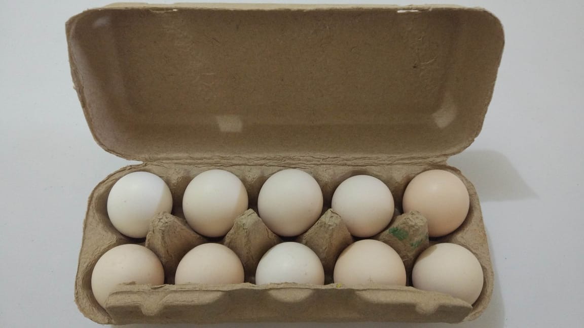 TELUR KAMPUNG ORGANIK (GOSEND)