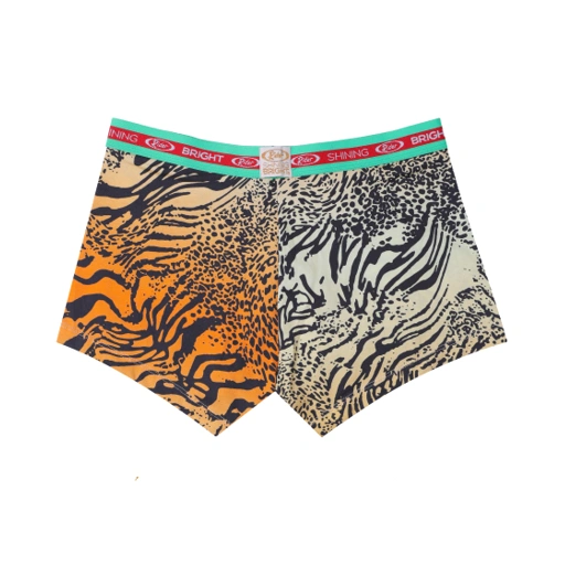 Image of Shining Bright X Rider Tiger Boxer