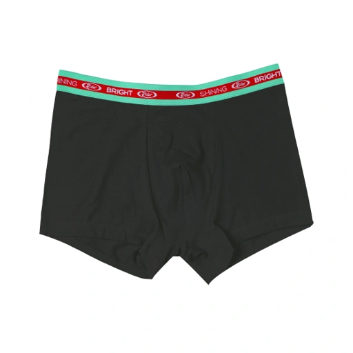 Image of Shining Bright X Rider Basic Boxer - Grey
