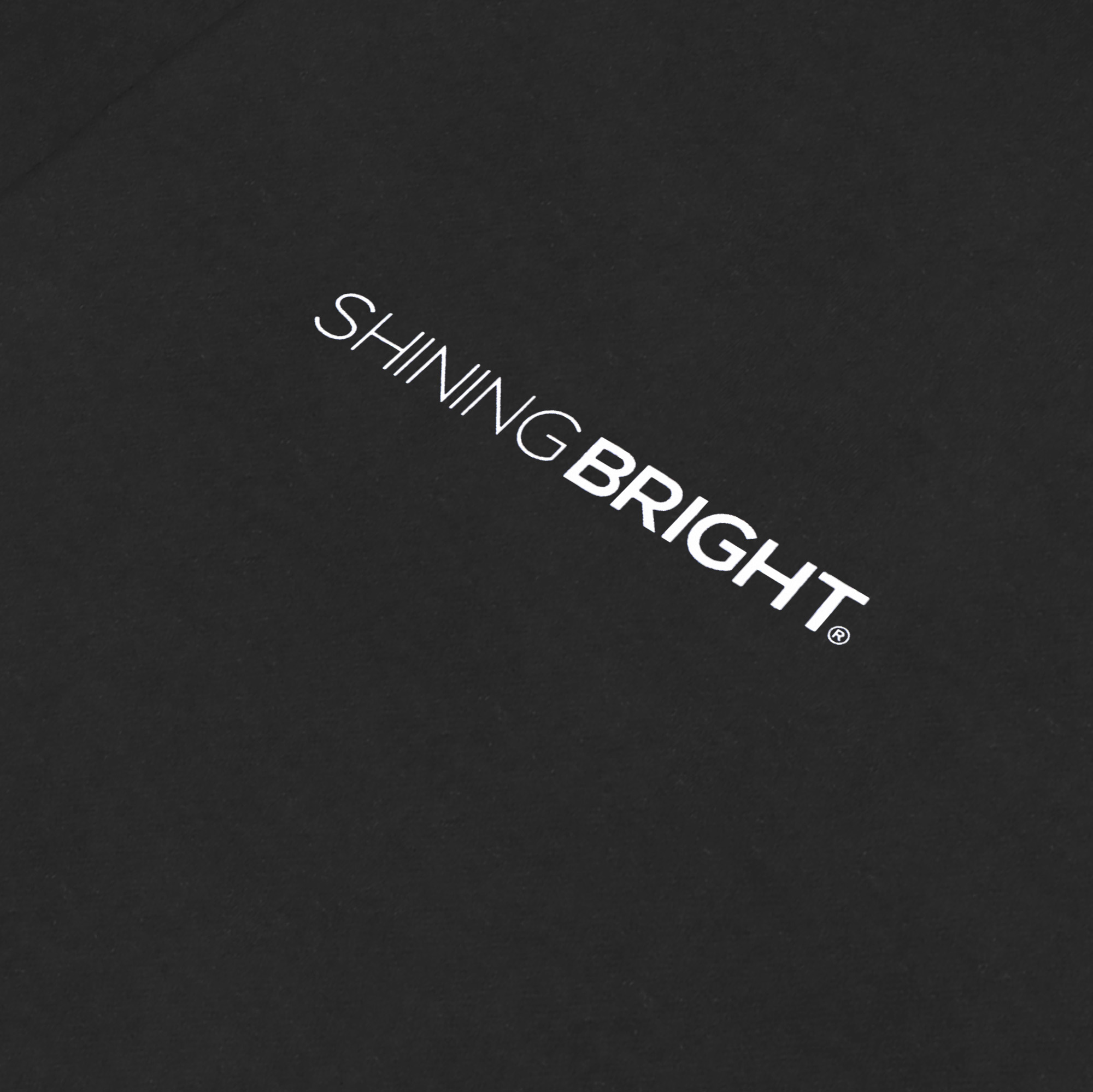 Shining Bright Flus Logo Hoodie - Black