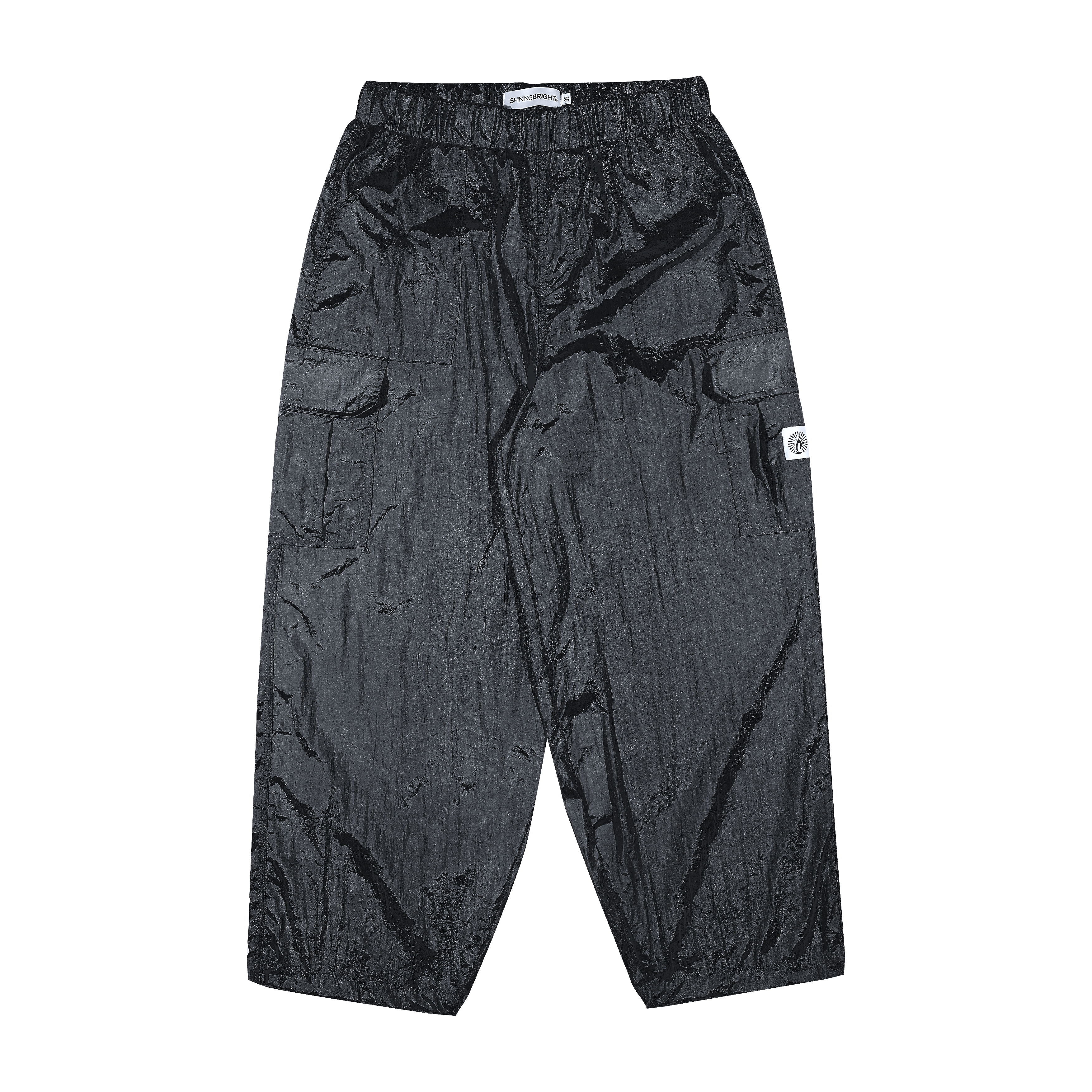 Shining Bright Light Long Cargo Pants - Black
