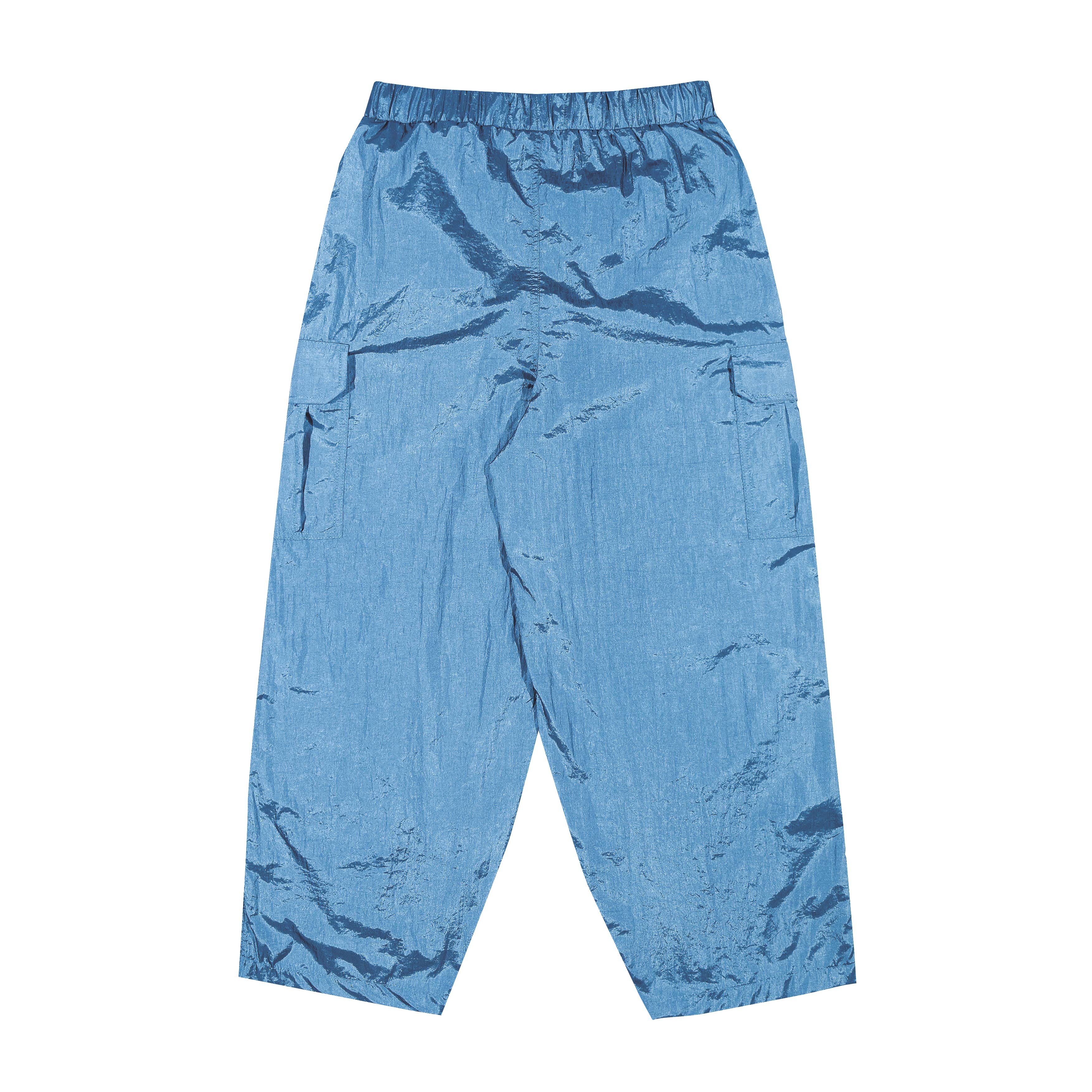 Shining Bright Light Long Cargo Pants - Blue
