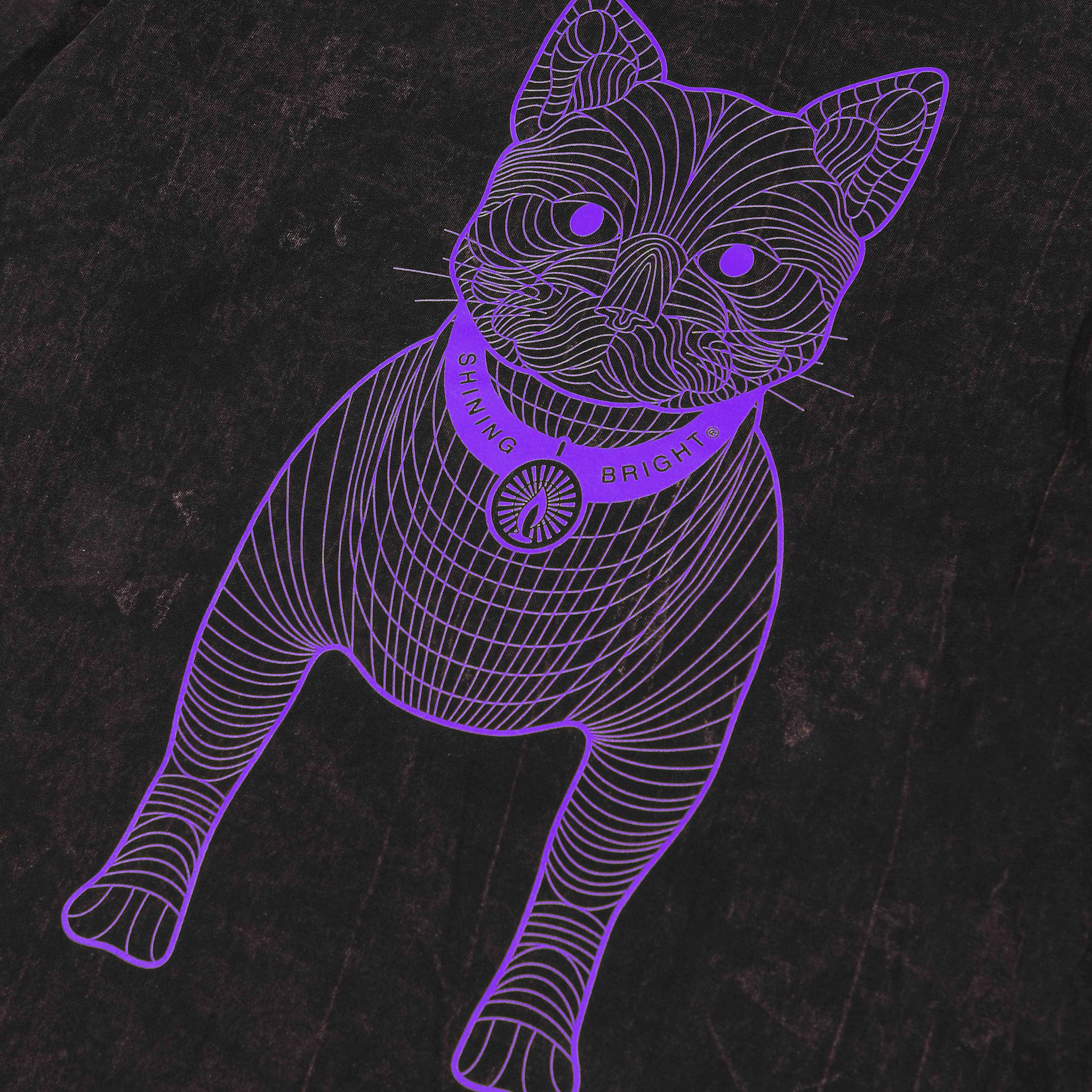Shining Bright Cat Wire Purp Long Washed Tshirt - Black