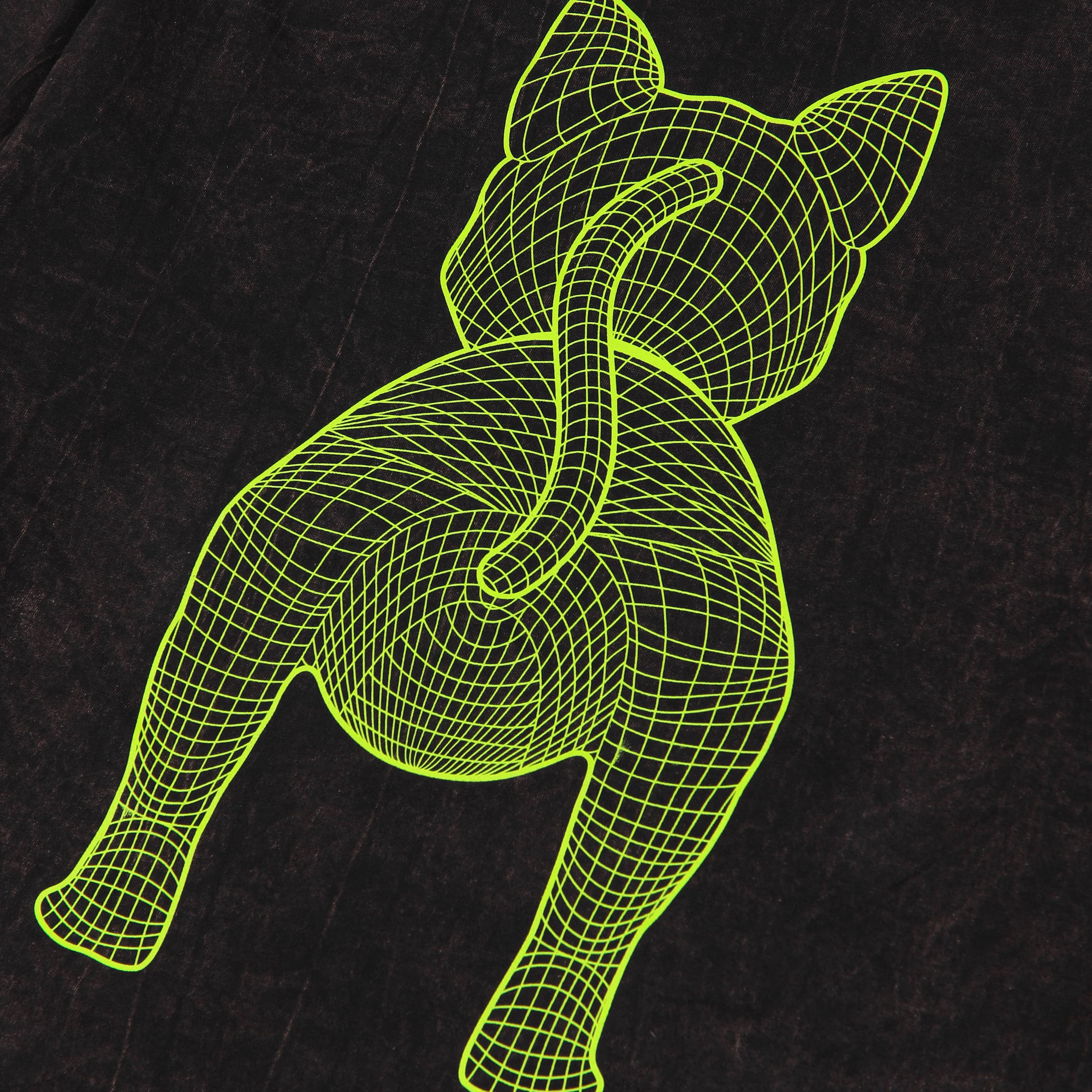 Shining Bright Cat Wire Lime Long Washed Tshirt - Black