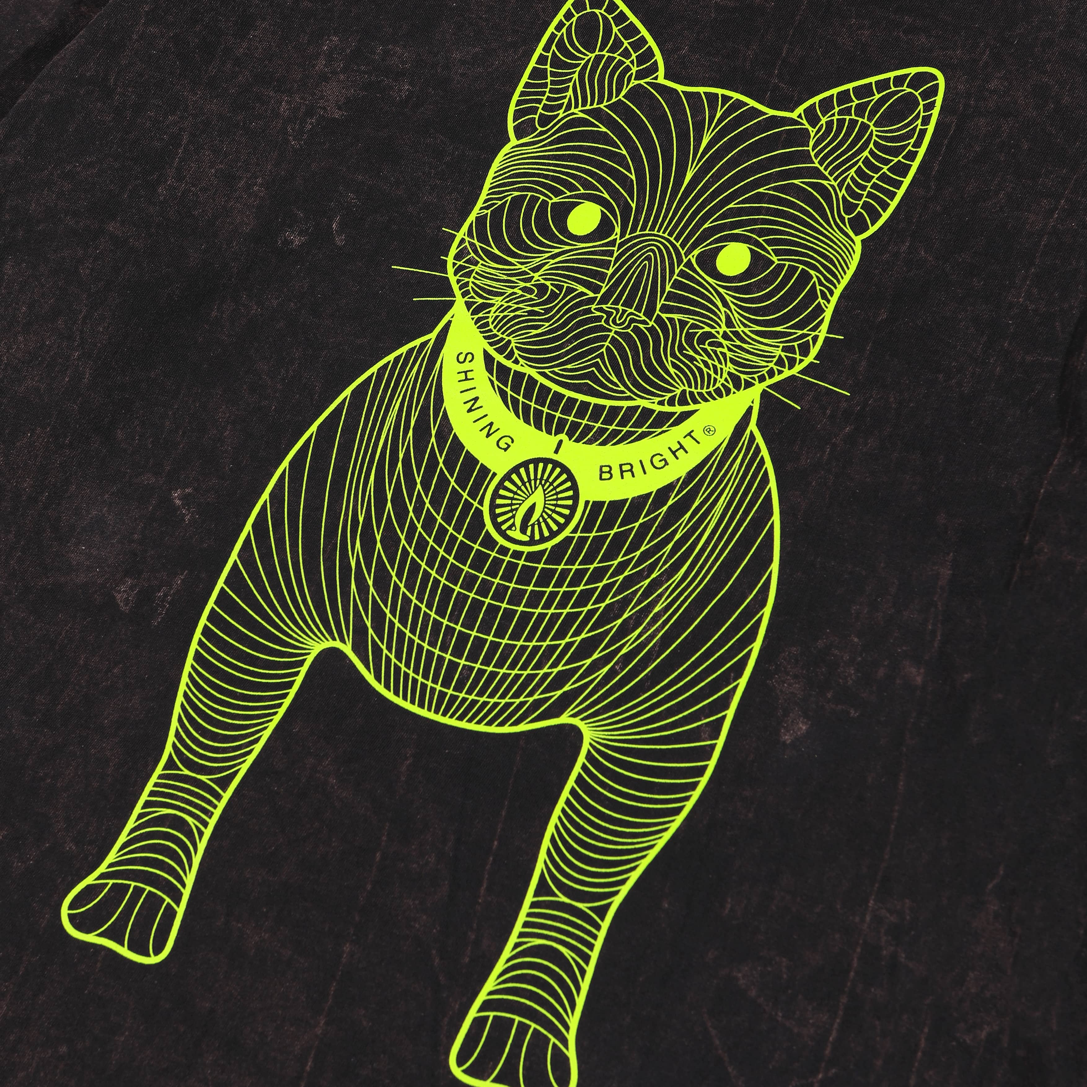 Shining Bright Cat Wire Lime Long Washed Tshirt - Black