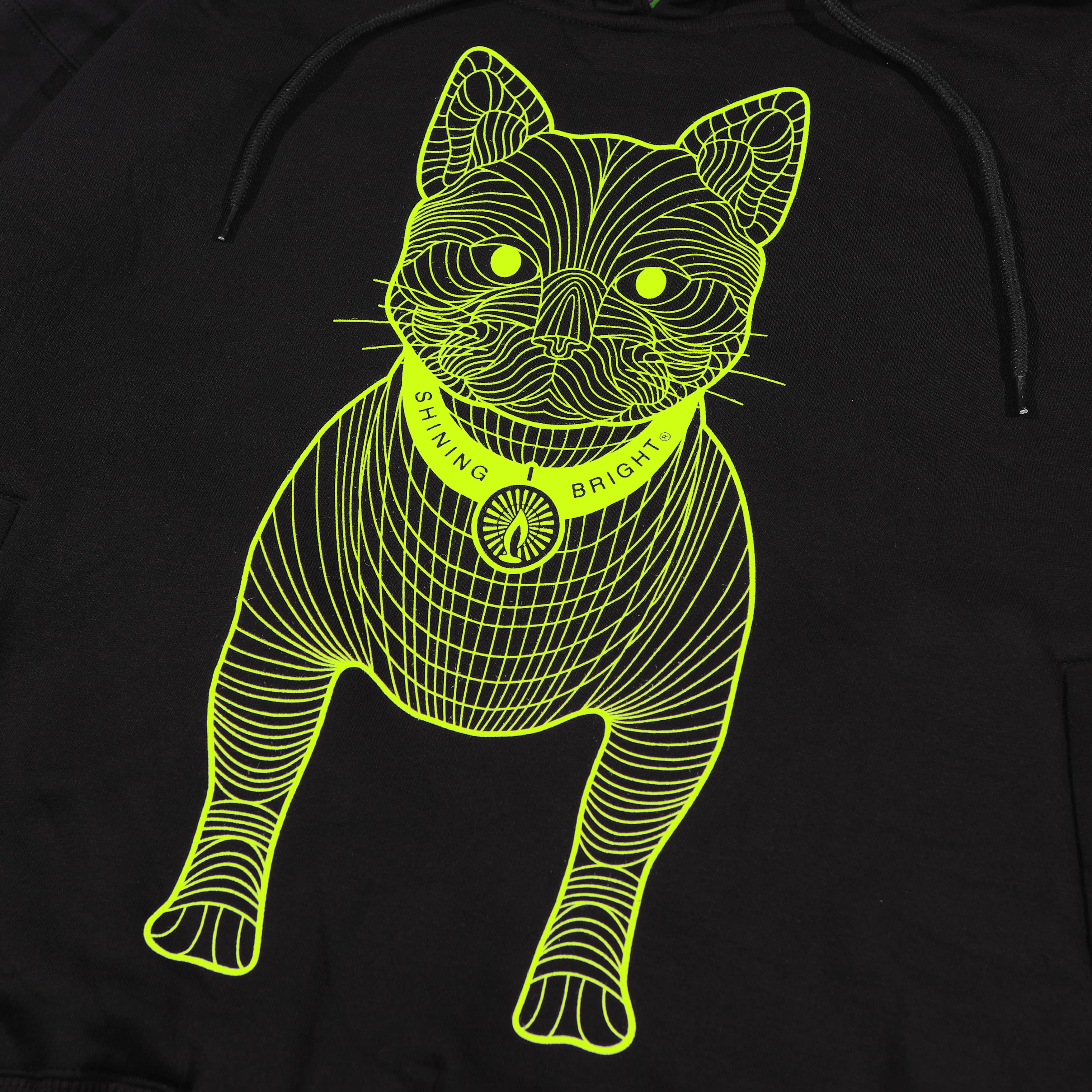 Shining Bright Cat Wire Lime Pullover Hoodie - Black