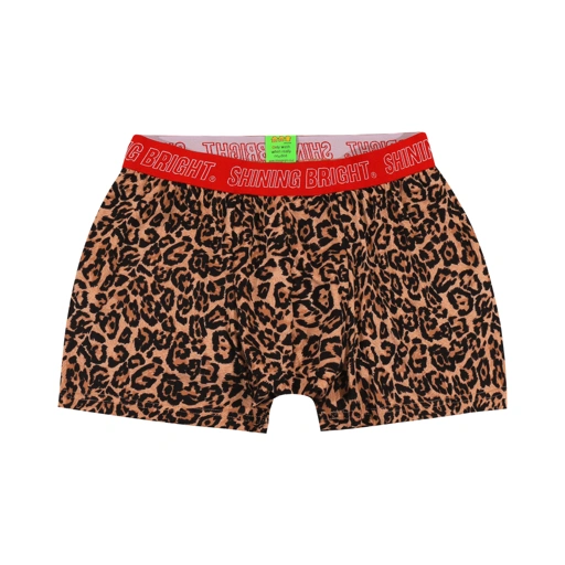 Image of Shining Bright Leopard Boxer - Multicolor