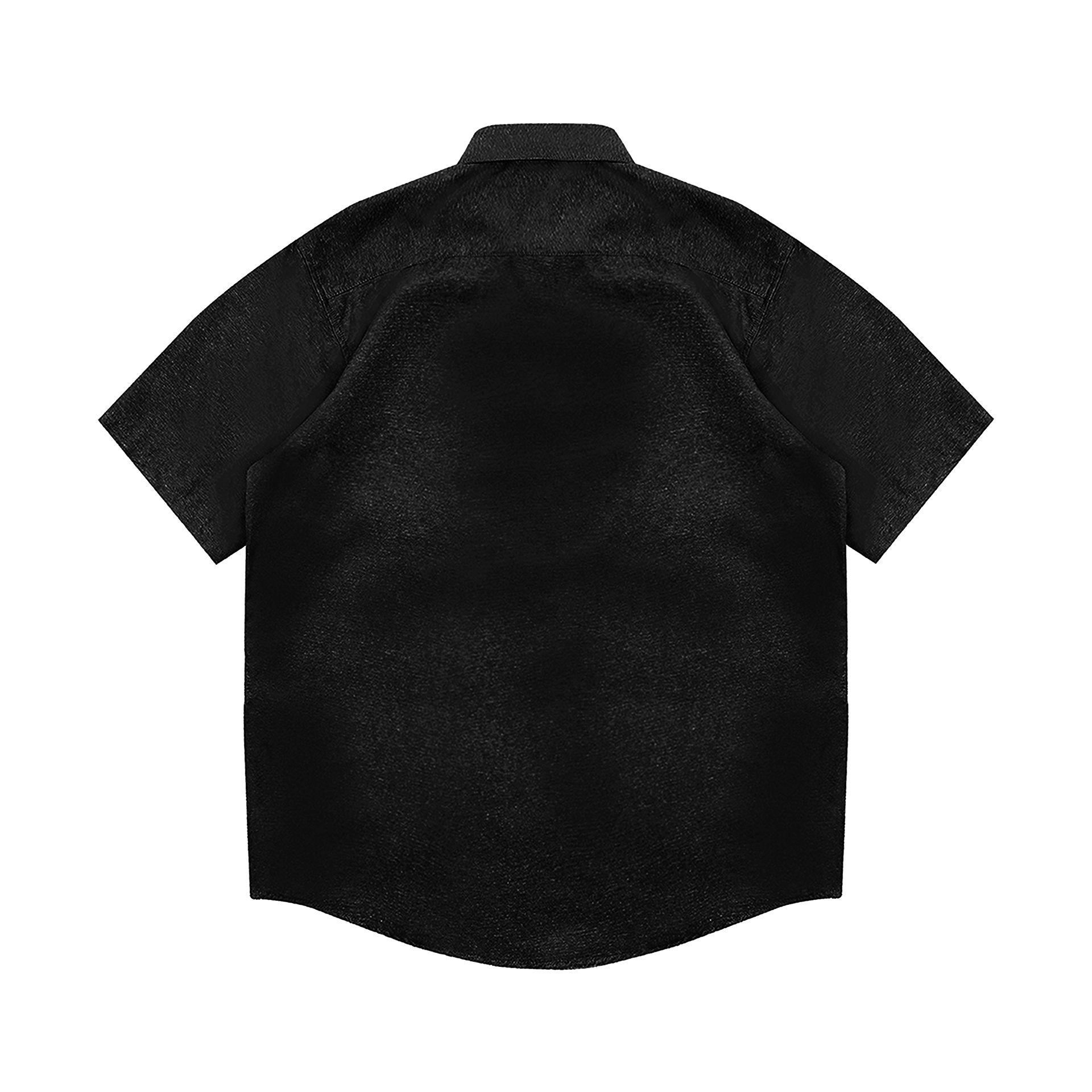 Shining Bright Regular Collar Shirt - Black
