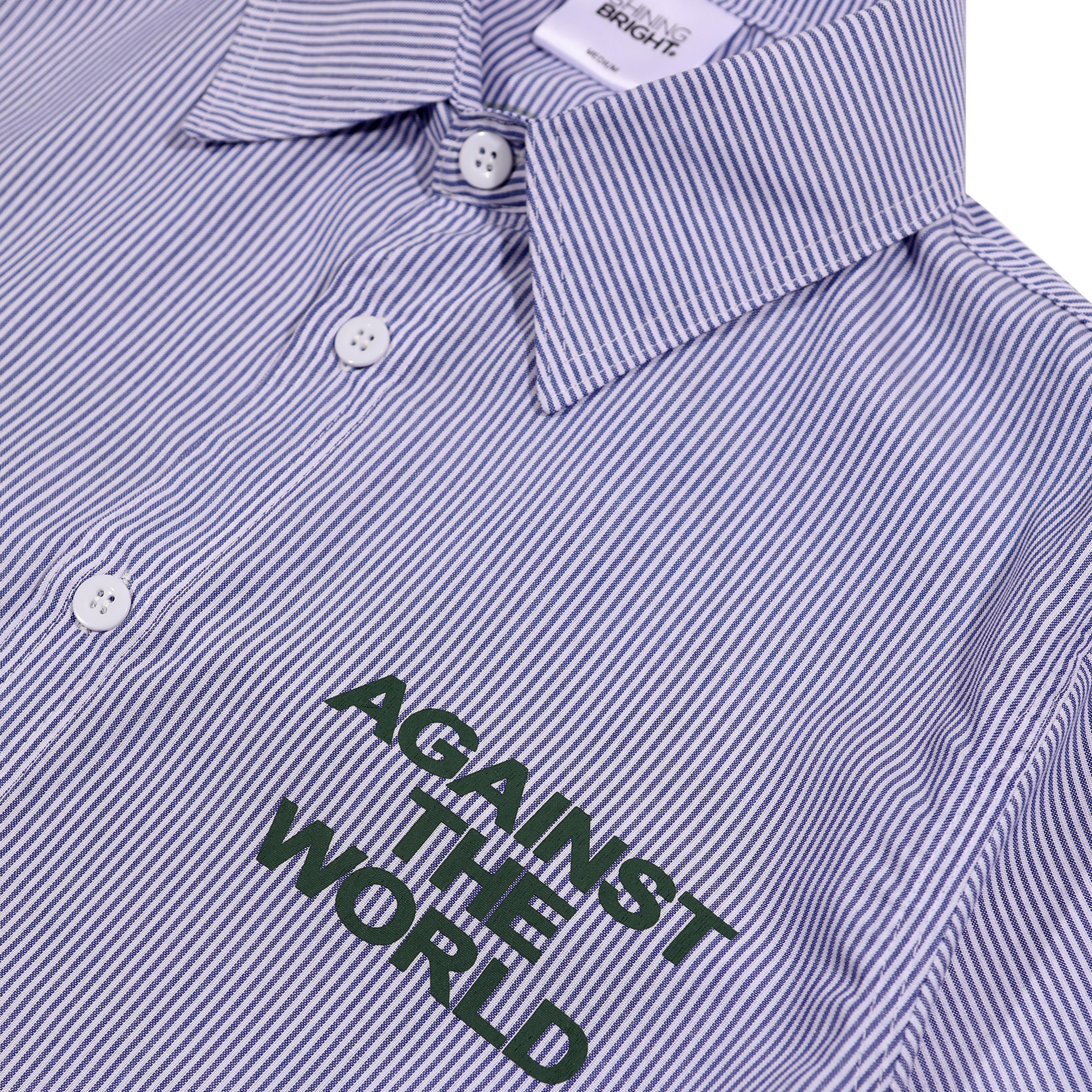 Shining Bright Blooming Stripe Shirt - Blue
