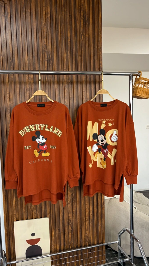 Image of Tshirt LS terracotta