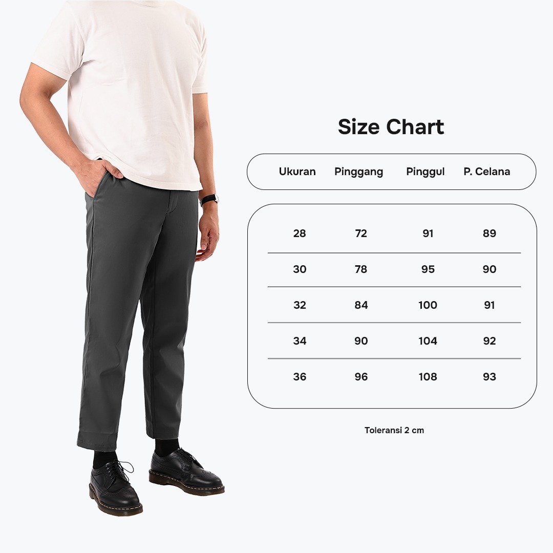 Ankle Pants Dark Tones