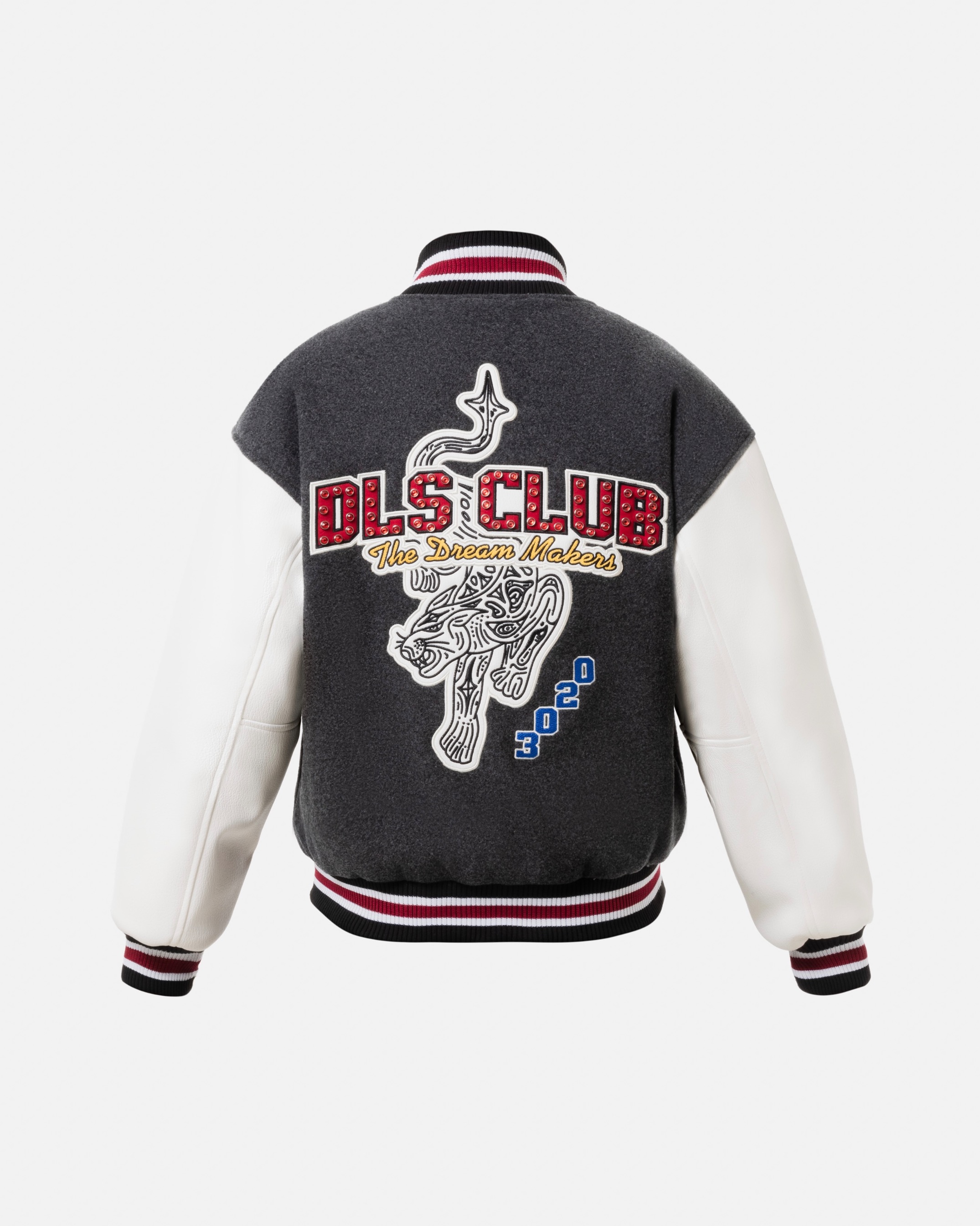 DLS Club 2026 Varsity Jacket