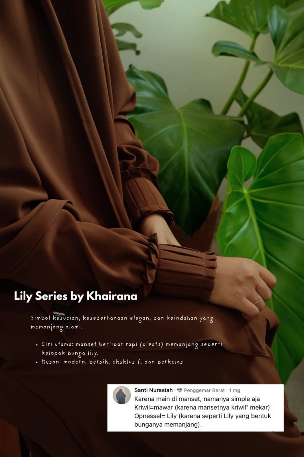 IED SERIES 2026