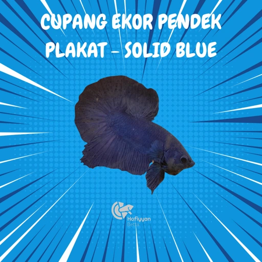 Image of PLAKAT SOLID BLUE
