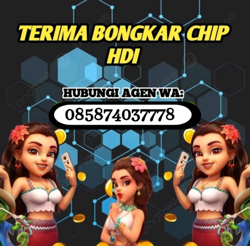 Image of Terima Bongkar Chip Higgs Domino Island melayani 24 Jam Kontak 085874037778 