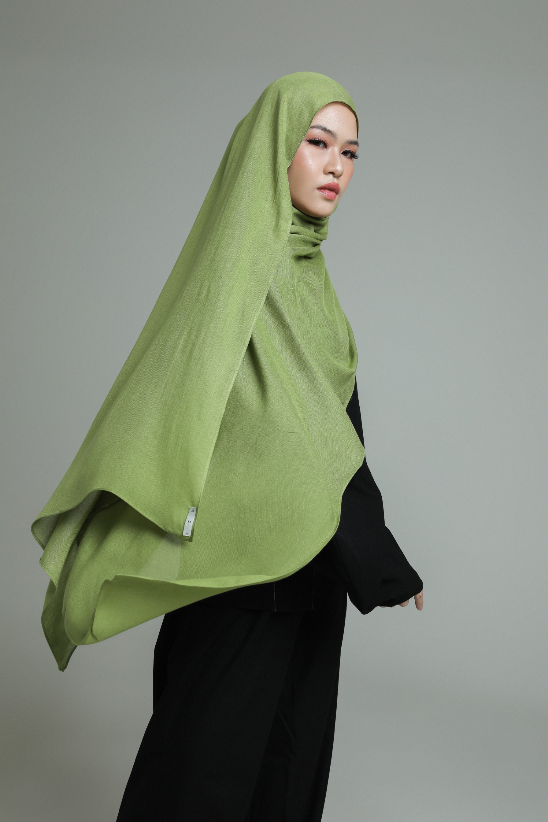 Sana Pistachio Green | Pashmina Delicate Rayon