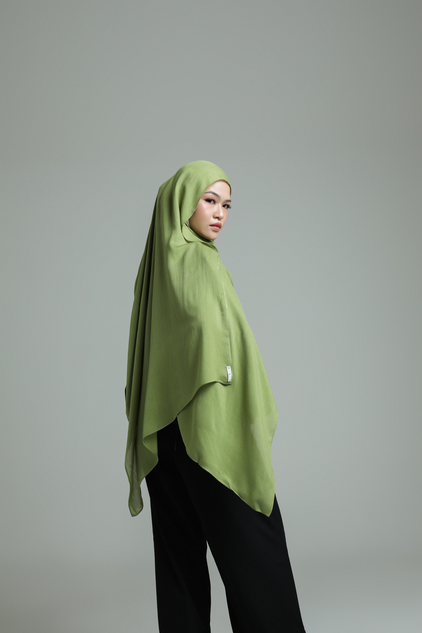 Sana Pistachio Green | Pashmina Delicate Rayon