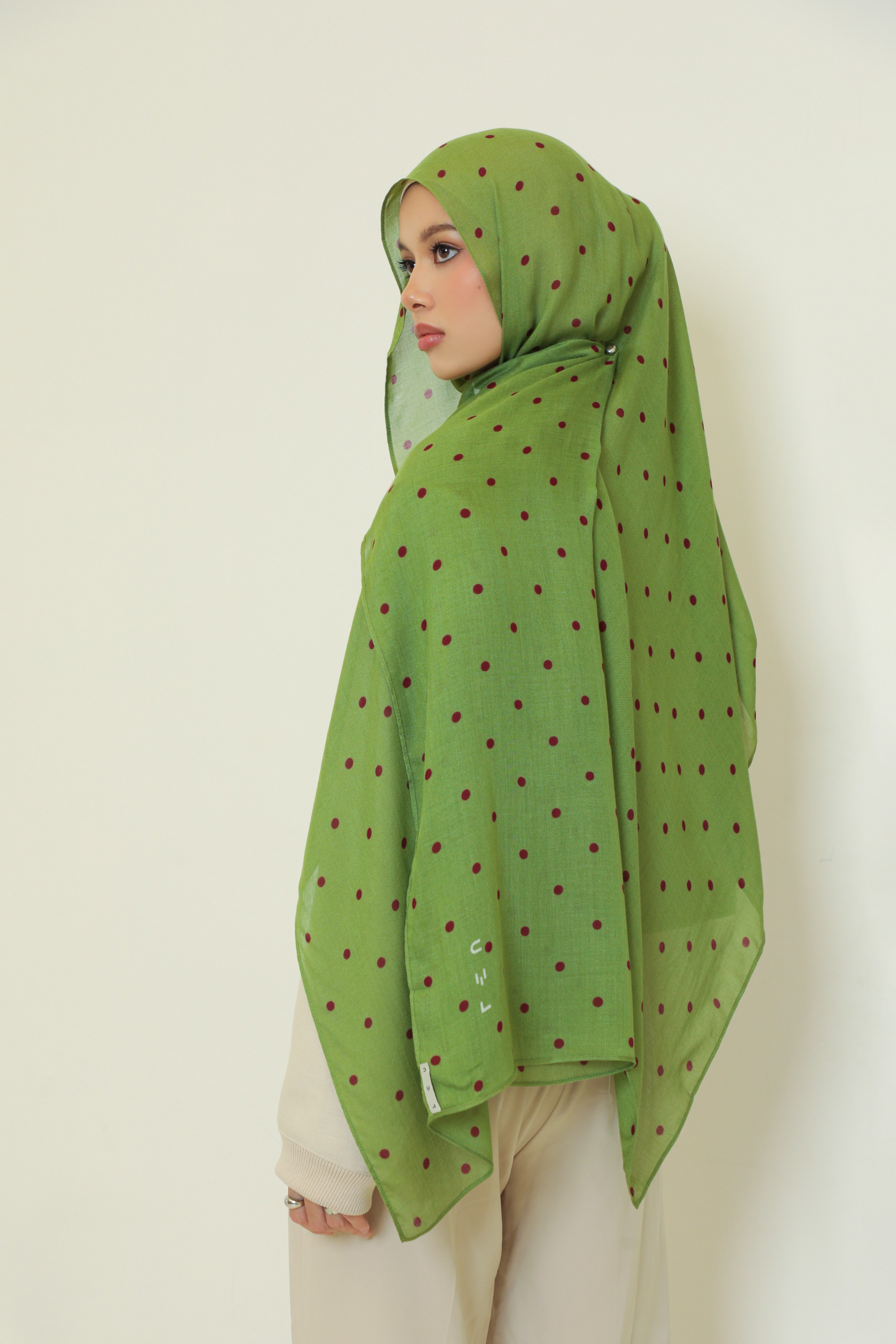 Polkadot Scarf Pistachio Berry | Pashmina Printed Modals