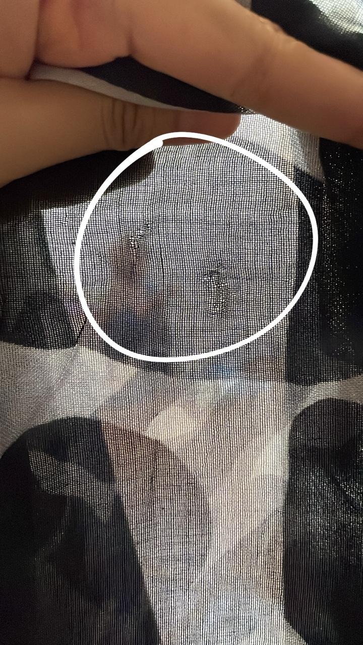 Defect Sale Animal Scarf | Pashmina Printed Modals