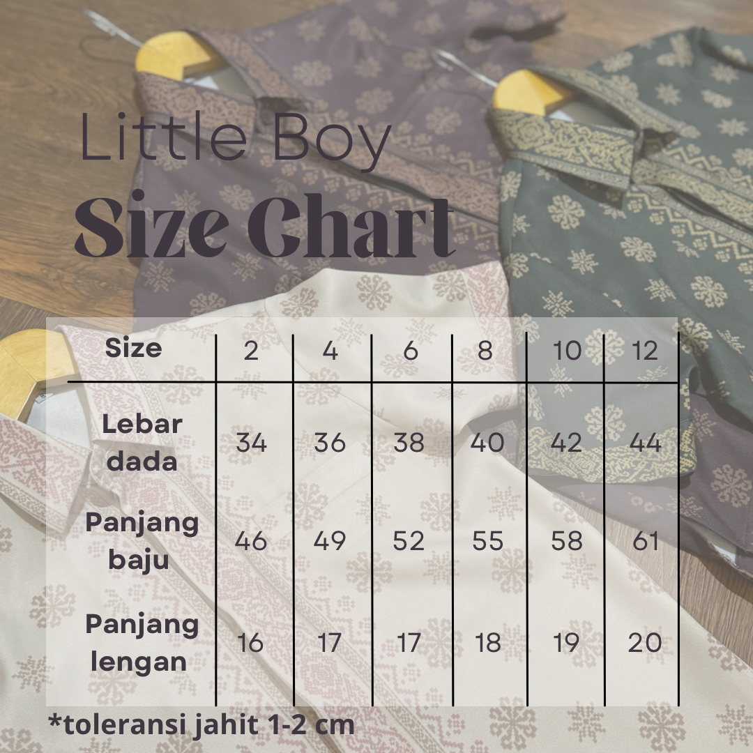 Little boy shirt (size 8-12)