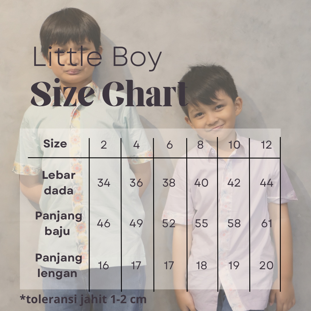 Little kids shirt vol 2 (size 2-6)285