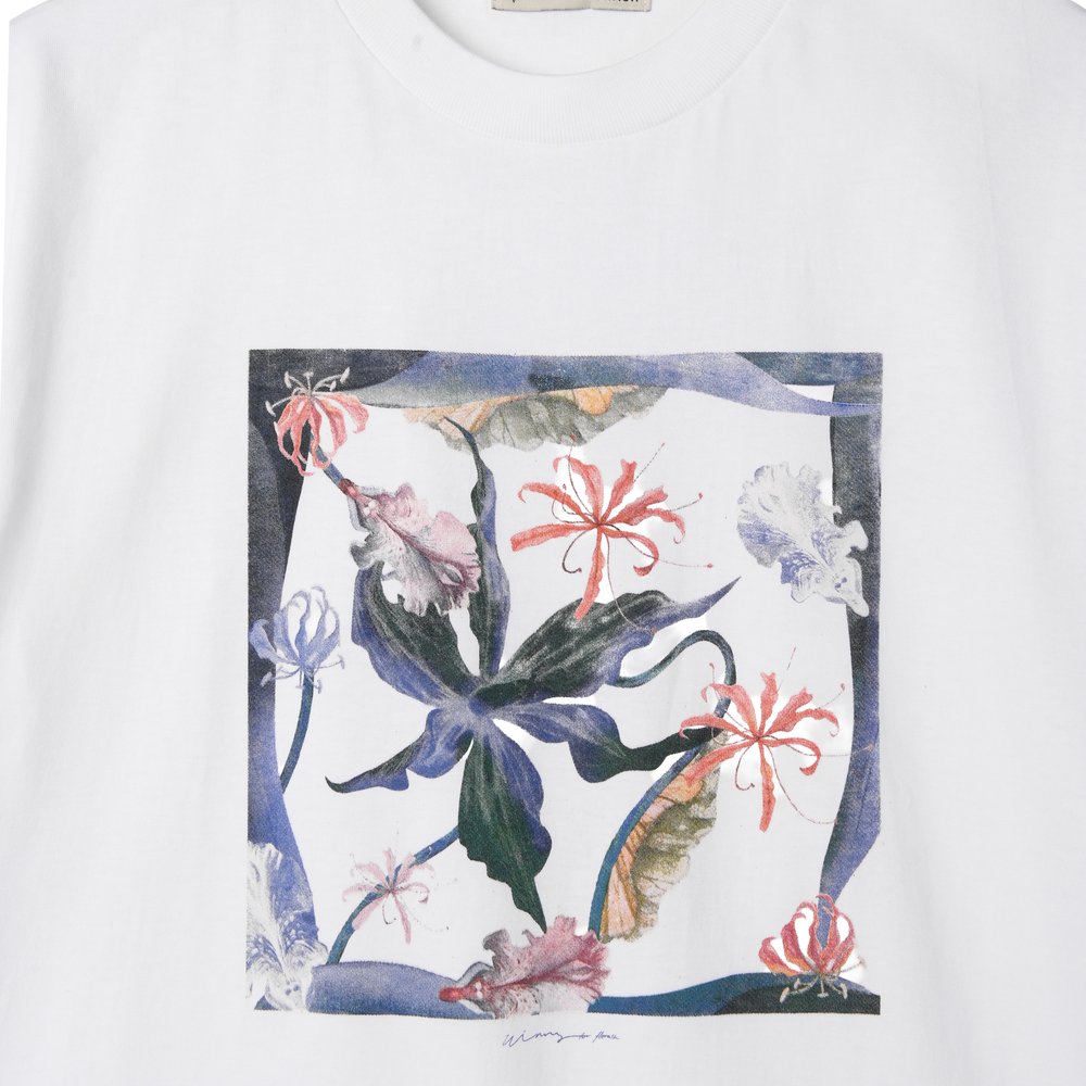 Tulip Tees White