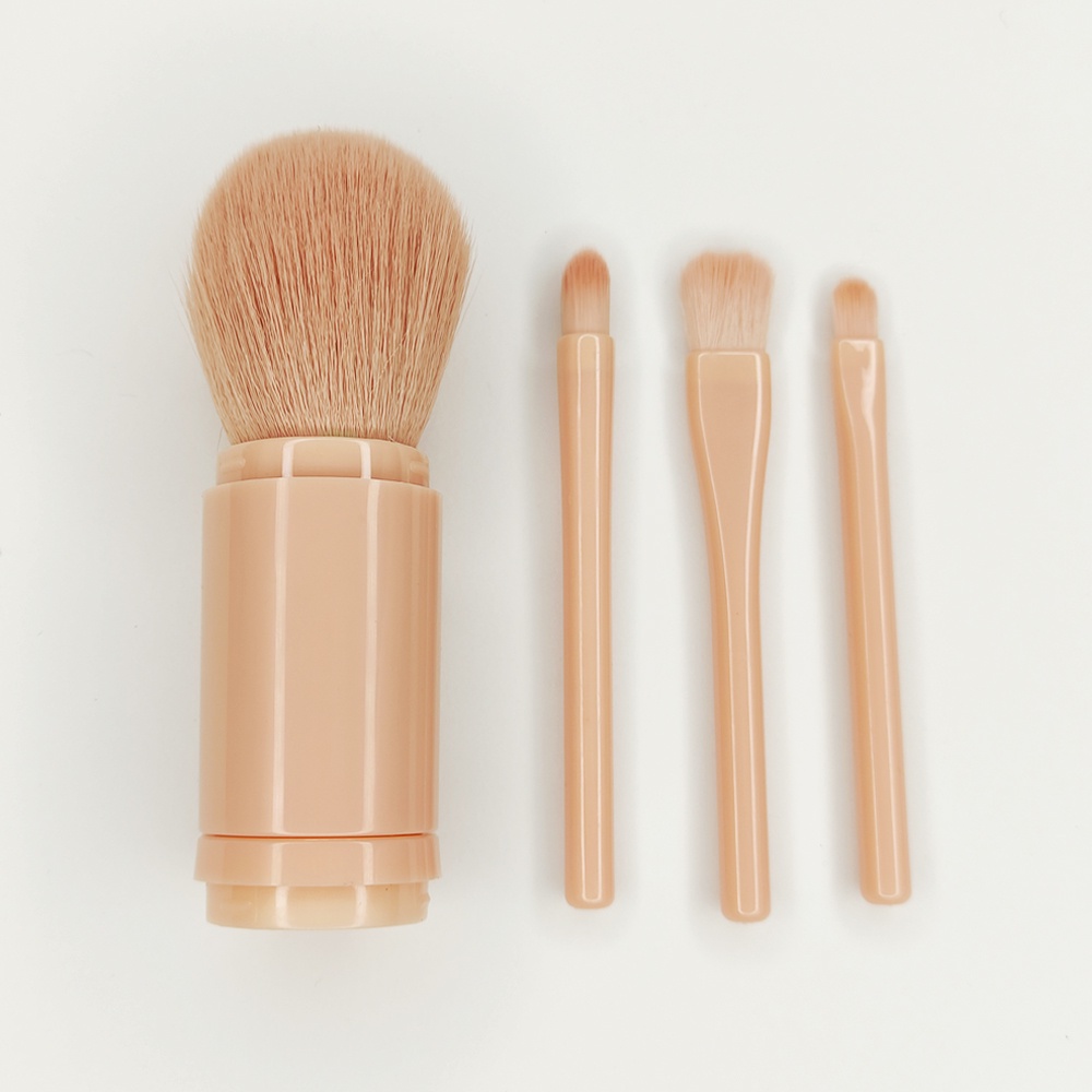 Portable Telescopic Brush