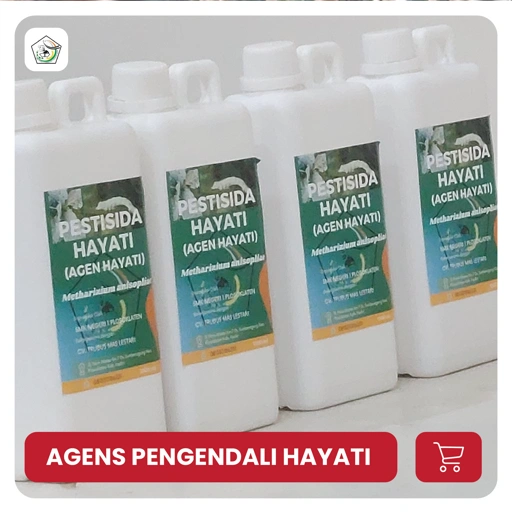 Image of AGENS PENGENDALI HAYATI UNTUK MENGENDALIKAN ORGANISME PENGGANGGU TANAMAN