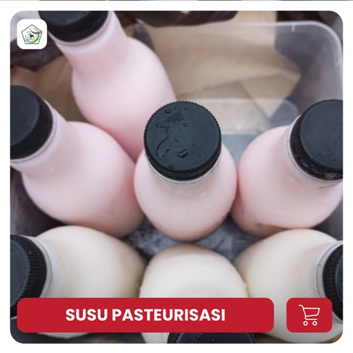 Image of SUSU PASTEURISASI