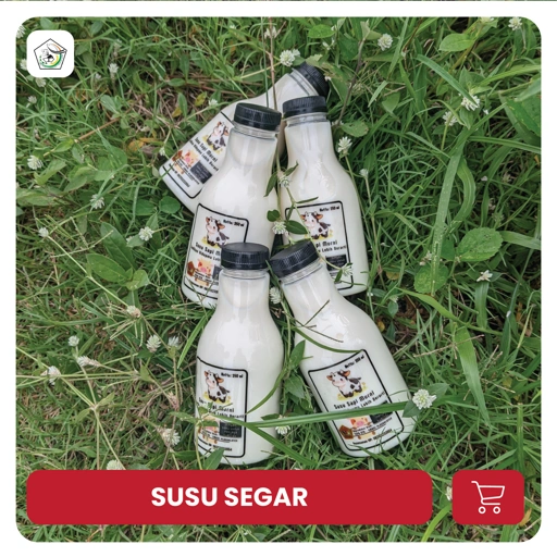 Image of SUSU SEGAR