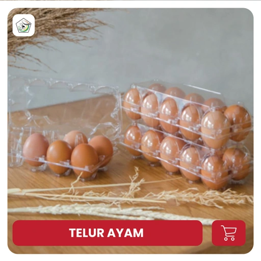 Image of TELUR AYAM