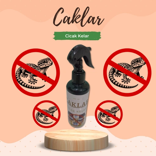 Image of Caklar ( Cicak Kelar ) 