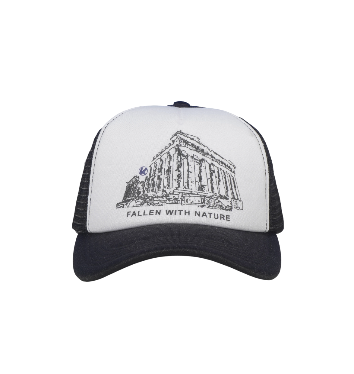 RUINS TRUCKER