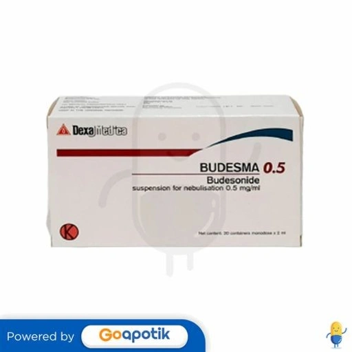Image of BUDESMA 0.5 MG/ML INHALER 2 ML BOX 20 CONTAINER MONODOSE