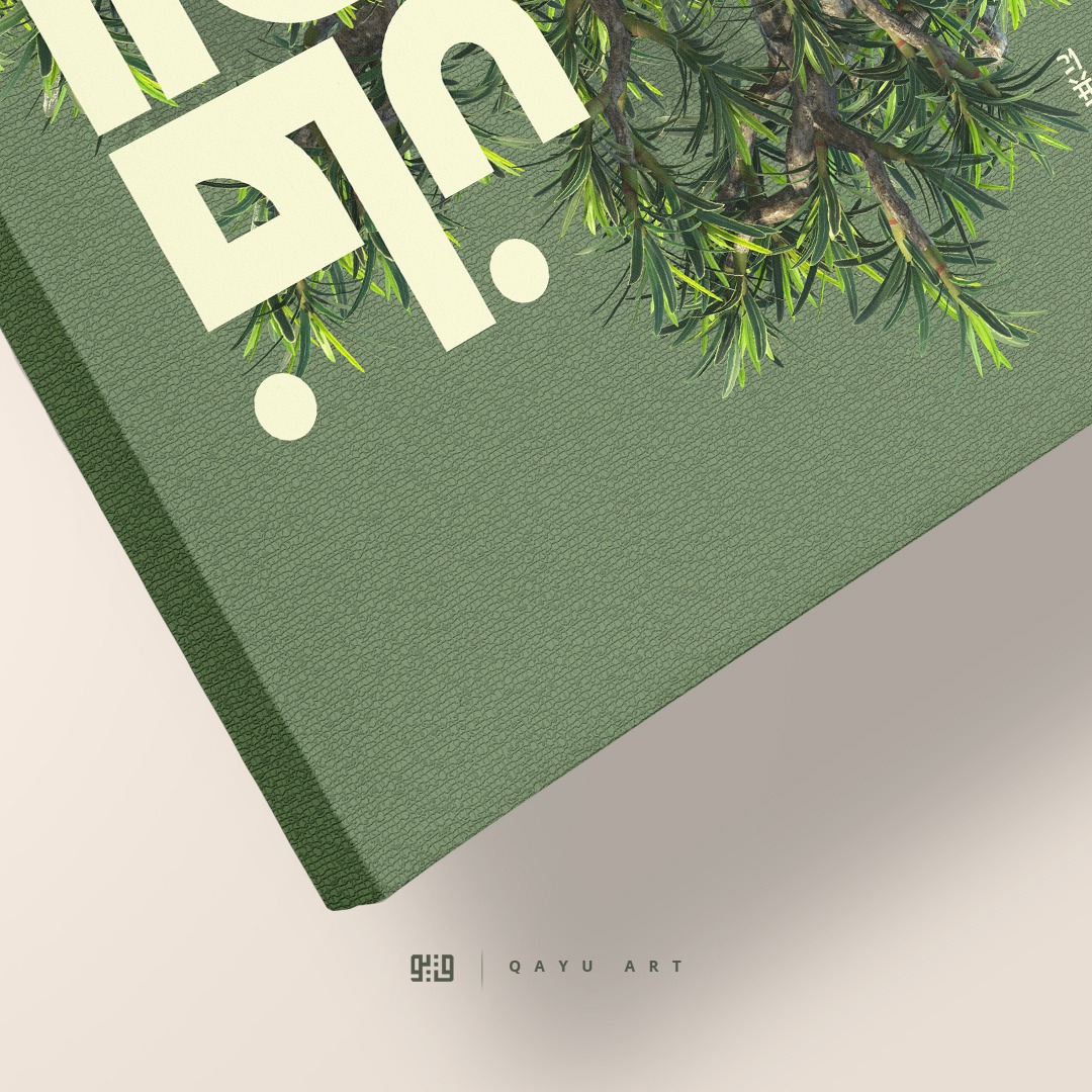 P34.01 Bonsai Al Insyirah 6