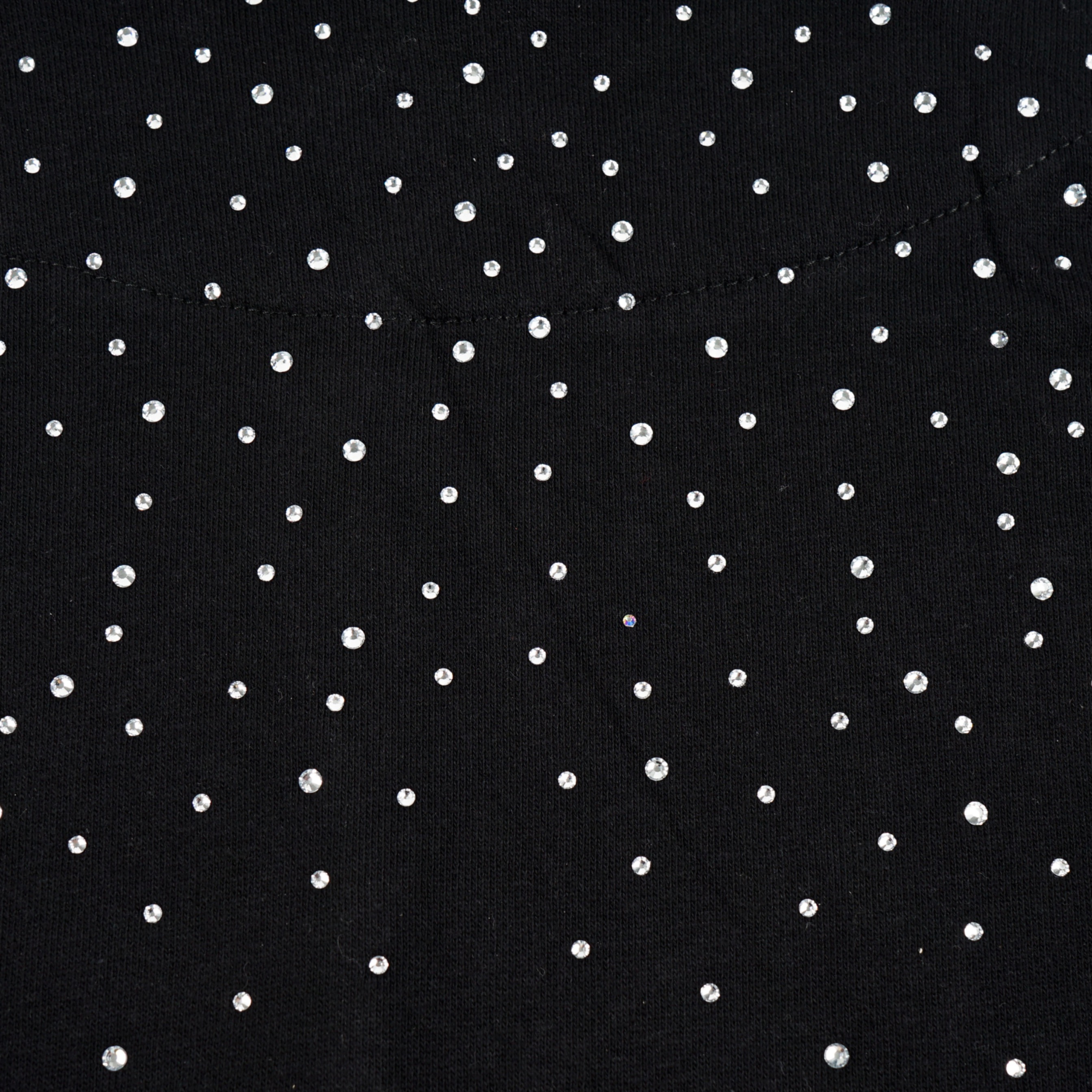 LUCIUS DIAMOND DUST ZIP UP - BLACK