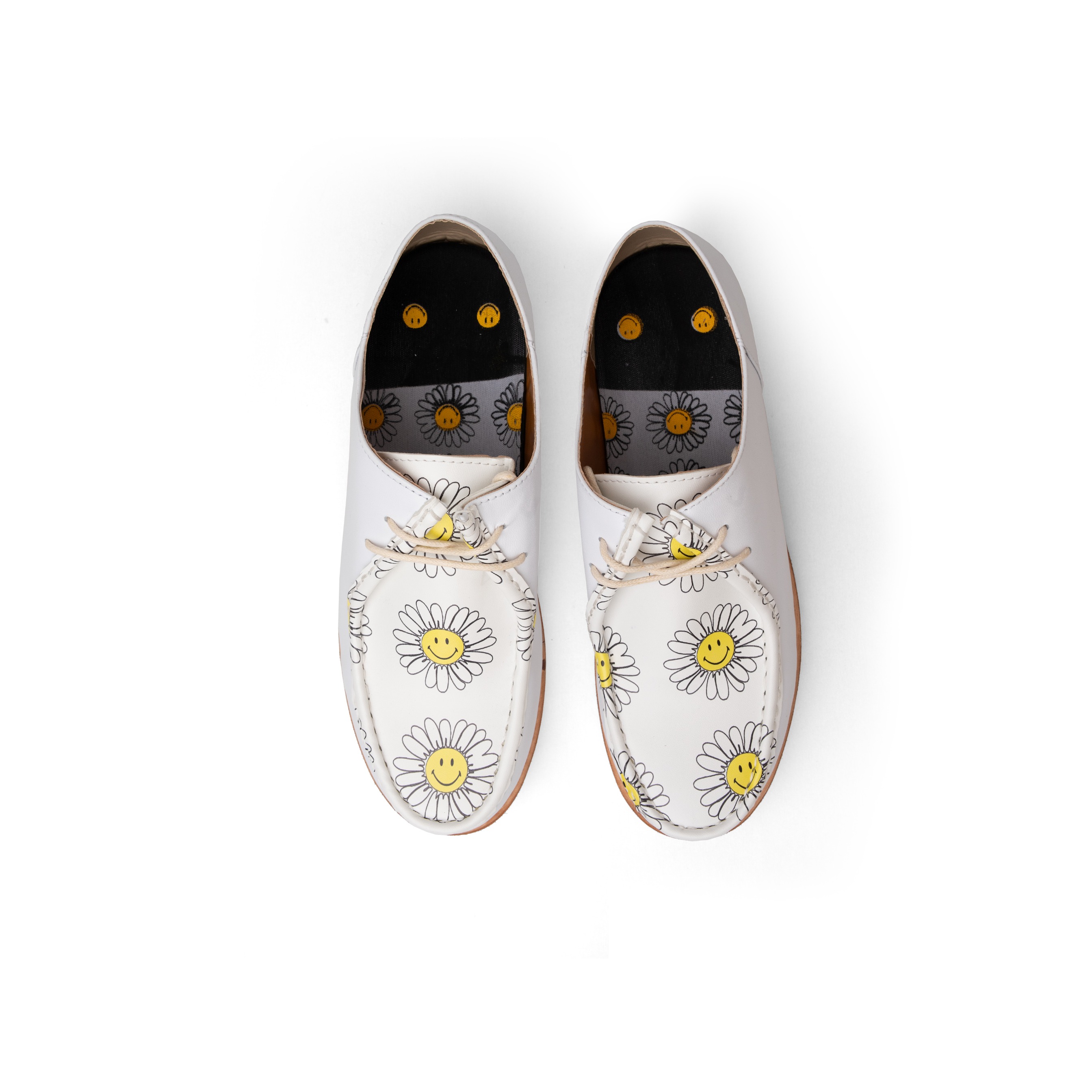 Chunky Daisy Flower Abdul x Plantbids