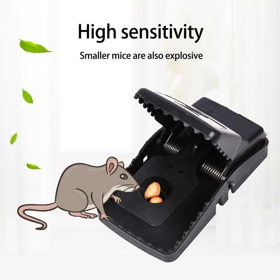 TaffHOME Jebakan Perangkap Tikus Black Mouse - Kuat dan Efektif, Basmi Tikus dengan Mudah