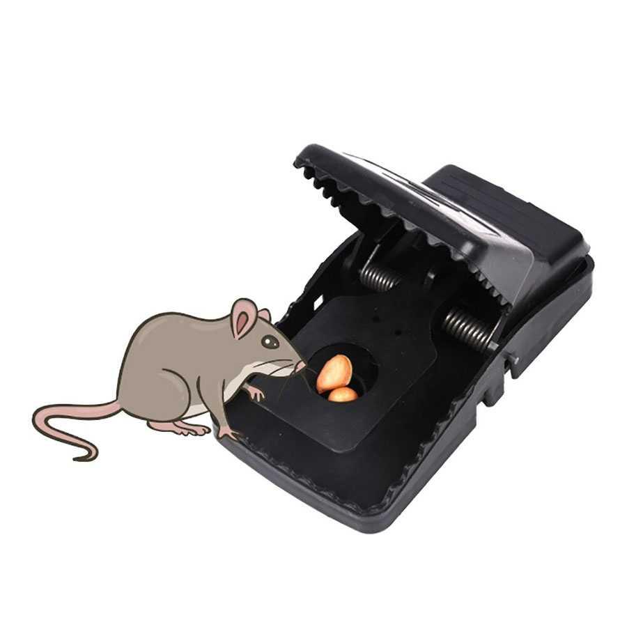 TaffHOME Jebakan Perangkap Tikus Black Mouse - Kuat dan Efektif, Basmi Tikus dengan Mudah