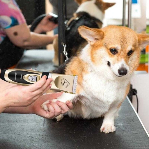 Image of BaoRun Alat Cukur Bulu Hewan Anjing Kucing Pisau Tajam - Merawat Bulu dengan Presisi, Tanpa Khawatir Bulu Tertarik