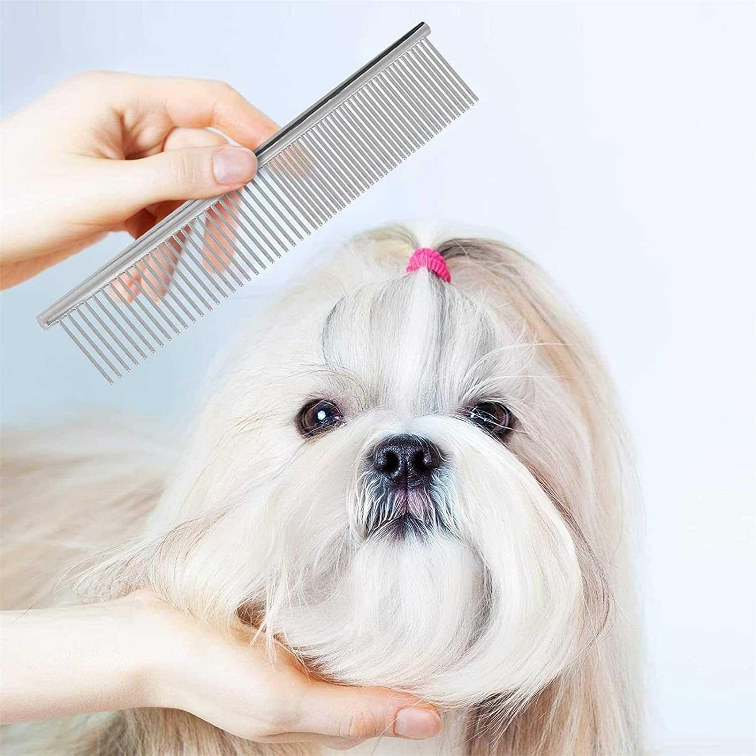 Biutte.co Set Gunting Grooming 5in1 Merawat Bulu Anjing dengan Presisi, Aman, dan Nyaman