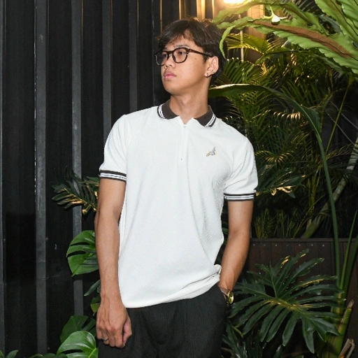 Image of RWYA Arka Half Zip Polo Rajut Katun Lembut | Kaos Polo Pria Lengan Pendek Casual Kantor Hangout