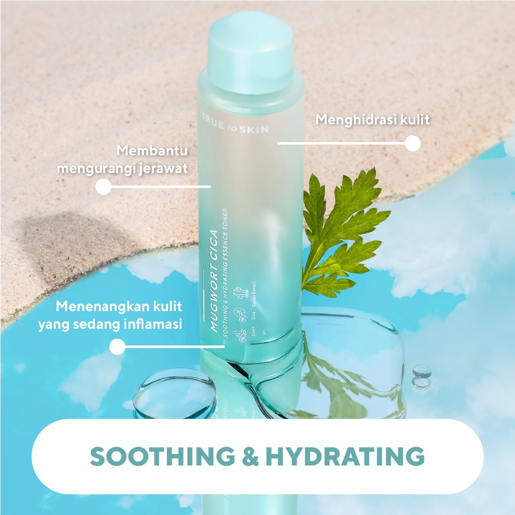 Mugwort Cica Essence Toner - Soothing & Hydrating