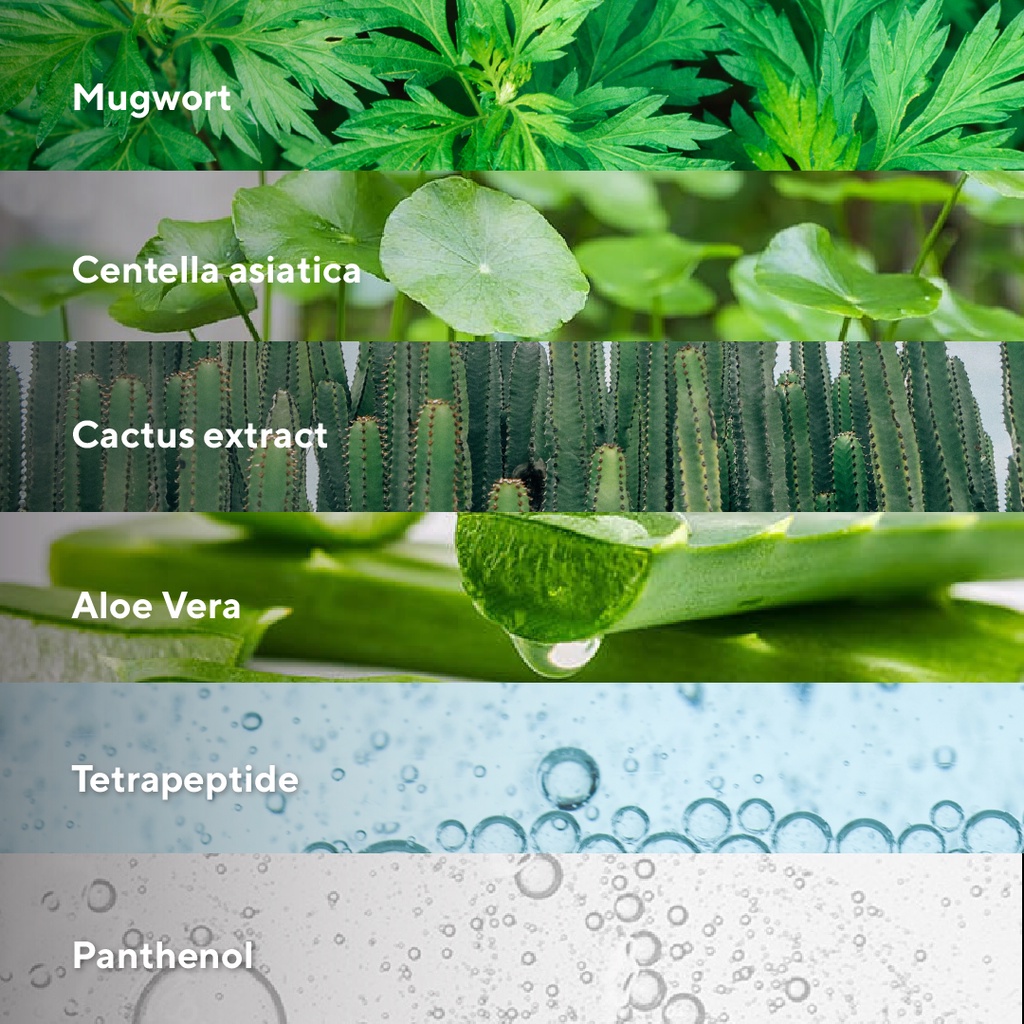 Mugwort Cica Essence Toner - Soothing & Hydrating