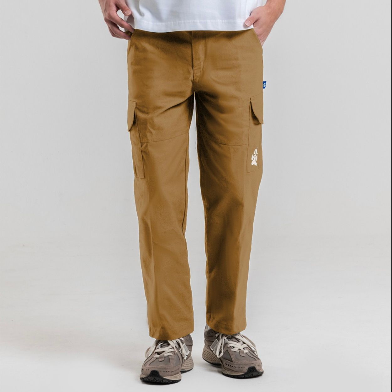 Cotton Cargo Twill Pants in Brown