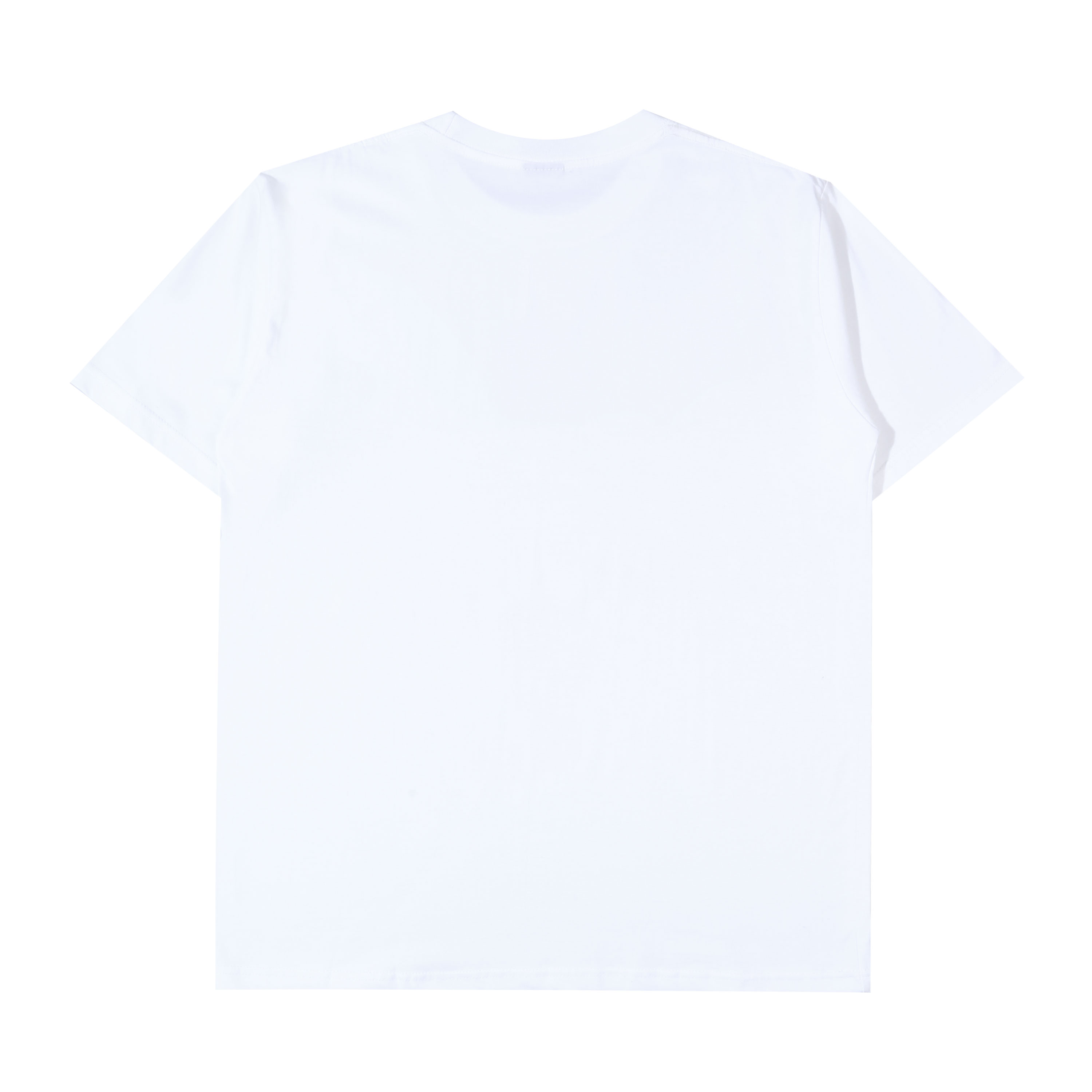 Tale of The Land - Journey - T-shirt - Broken White