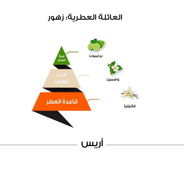 Al Majed Oud Aris Classic
