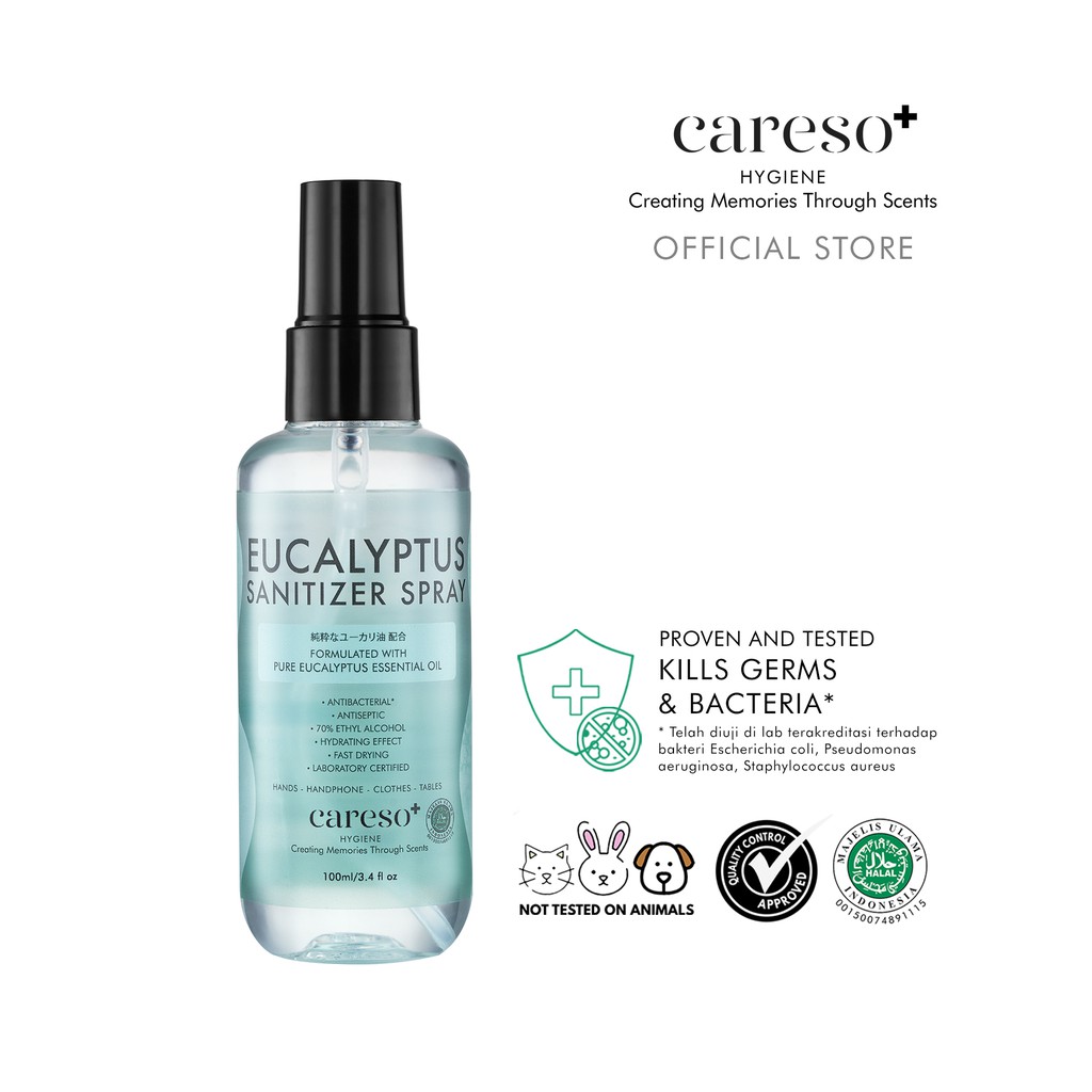 Aromatherapy Eucalyptus Sanitizer Spray - 100ml