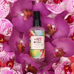 Wild Orchid